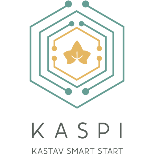 KASPI logo